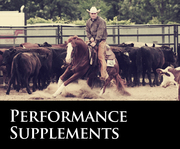 Click to view products in Performance Supplements