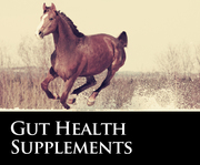 Click to view products in Gut Health Supplements