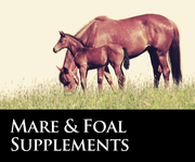 Click to view products in Mare and Foal Supplements