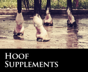 Click to view products in Hoof Supplements
